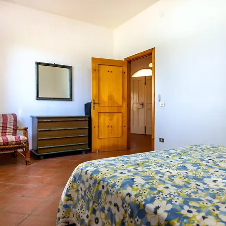 Degli Ulivi